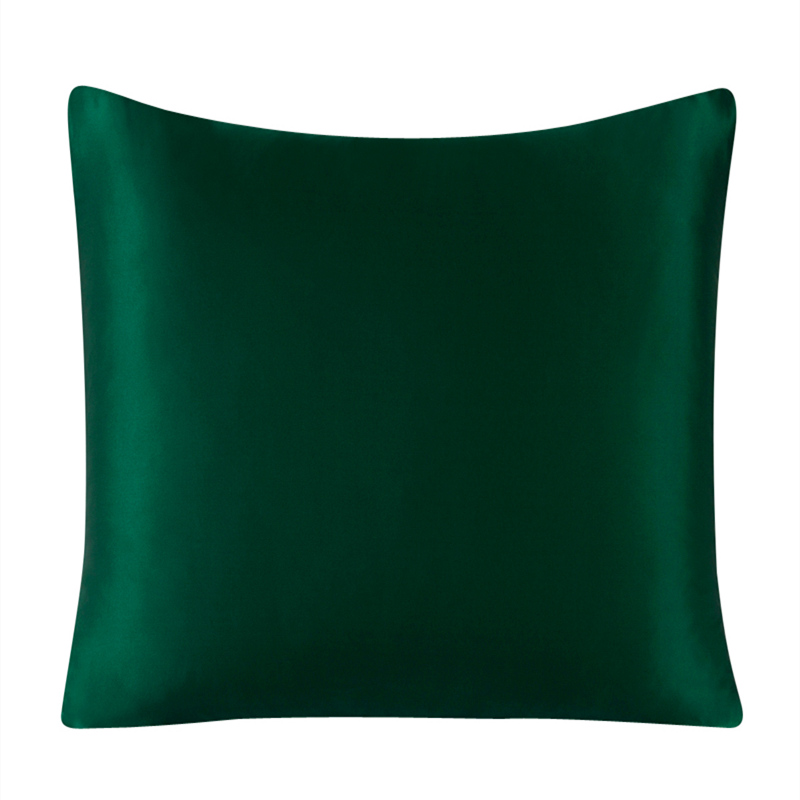 30Momme 100% Silk Cushion Cove - Silk Pillowcase review and price